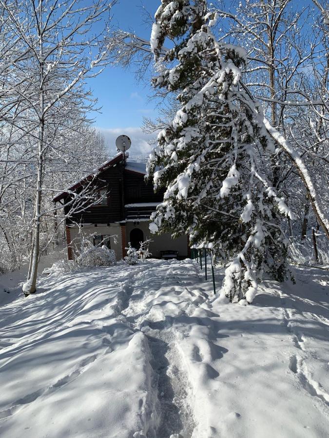 Mountain Family Chalet On Prahova Valley Комарник Экстерьер фото