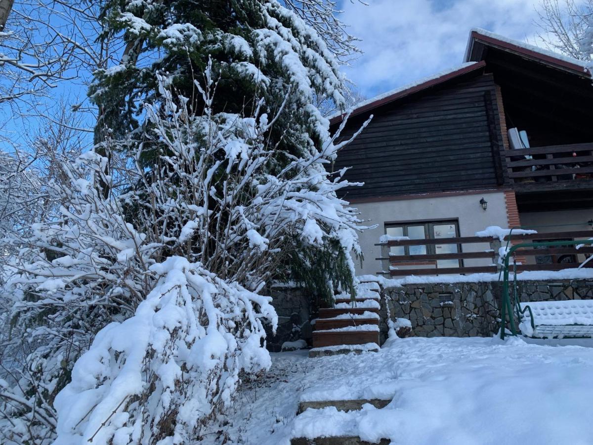 Mountain Family Chalet On Prahova Valley Комарник Экстерьер фото