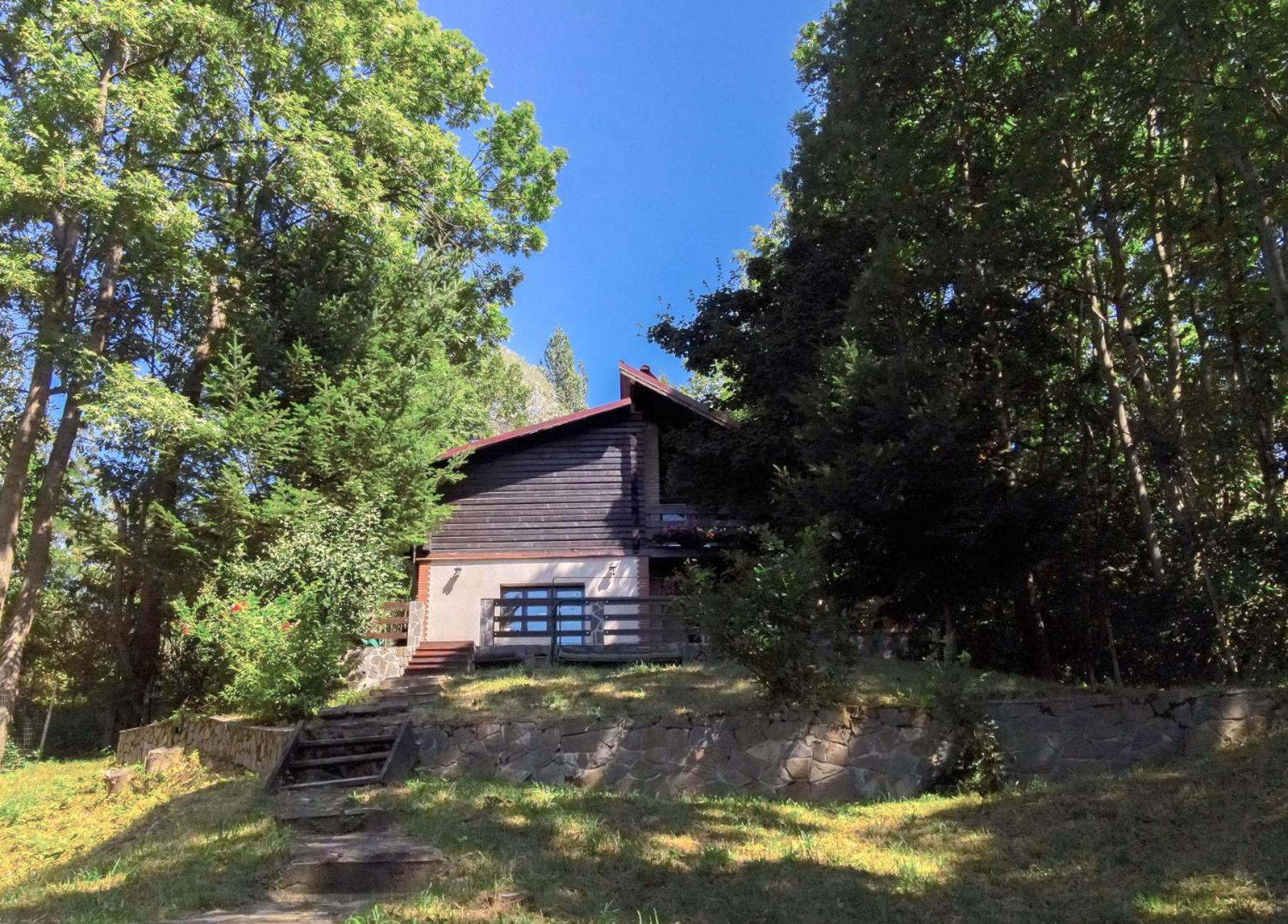 Mountain Family Chalet On Prahova Valley Комарник Экстерьер фото
